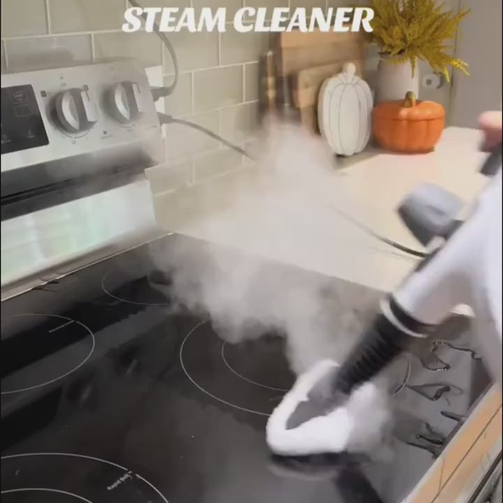 1Pc 1050W High-Power Portable Handheld Steam Cleaner Quick Heating